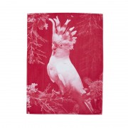 Bonnie and Neil | Cotton Tea Towel | Big Major 2 | Pink